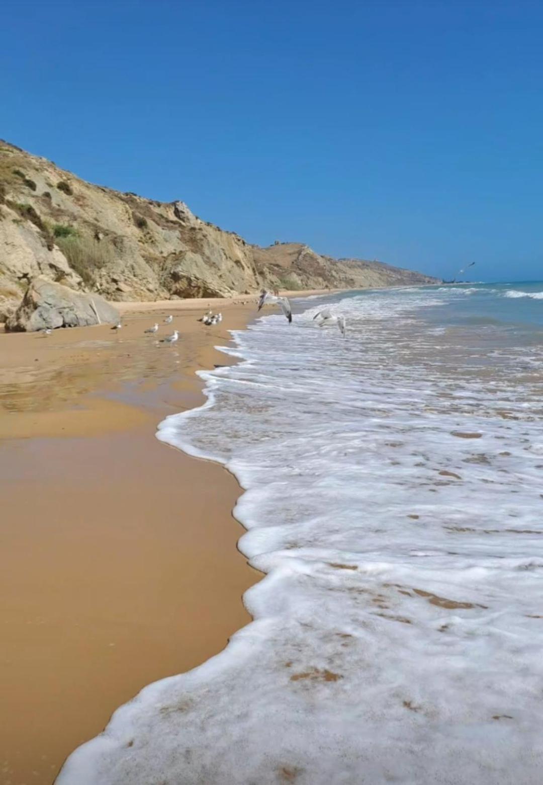 La Foggia Seaside Paradise 시큘리아나 외부 사진