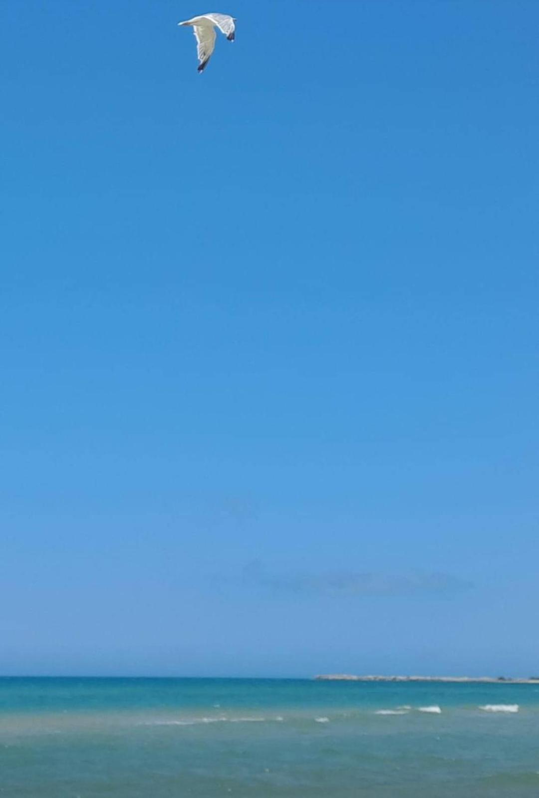 La Foggia Seaside Paradise 시큘리아나 외부 사진